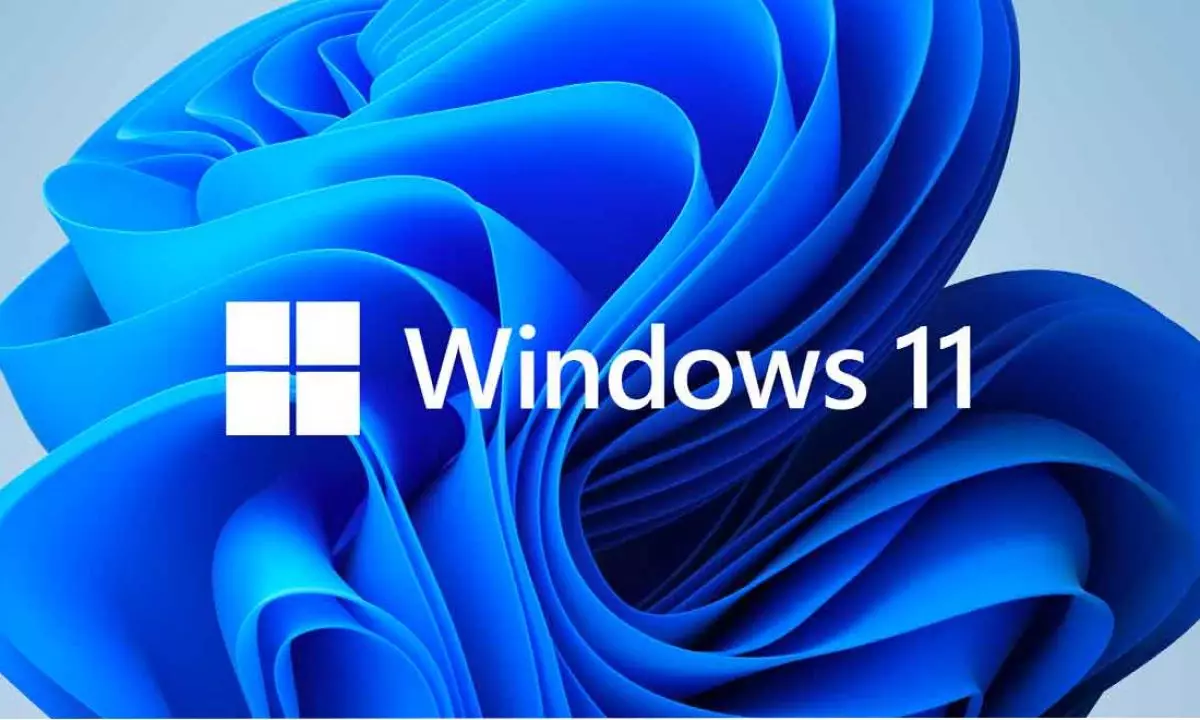 Windows 11